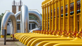 EU importiert weiter Gas aus Russland - nennt aber geringere Zahlen als Moskau