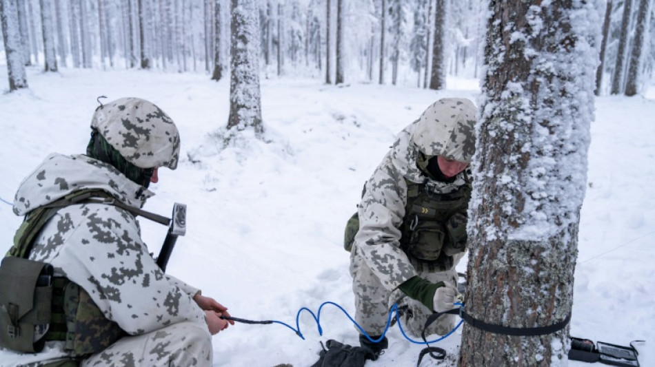 Dans la for&ecirc;t finlandaise, l'arm&eacute;e r&eacute;apprend &agrave; poser des mines