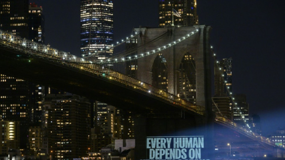 "&Uacute;ltima oportunidad", la ONU intenta proteger la altamar