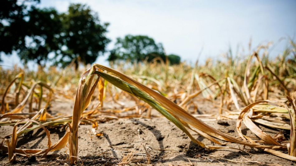 Städte- und Gemeindebund fordert Maßnahmen gegen Wasserknappheit