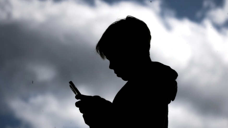 Reddit says Australia's under-16 social media ban 'legally erroneous'