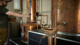 Twelve, un whisky made in France n&eacute; sur les hautes terres de l'Aubrac