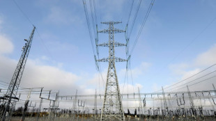 Beh&ouml;rden: Keine Hinweise auf Strommarktmissbrauch w&auml;hrend Dunkelflauten 