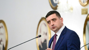 Präsidenten-Stichwahl am Sonntag in Rumänien