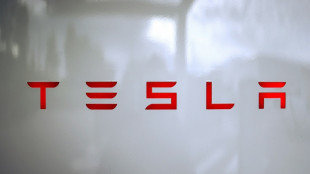 Herstellerverband: Tesla-Verk&auml;ufe in EU im Mai erneut stark eingebrochen