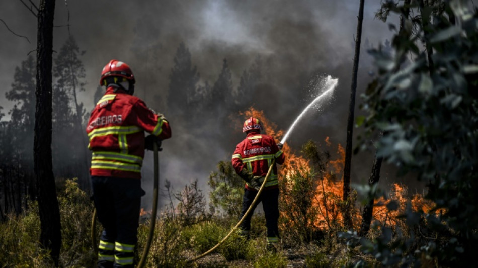 L'Espagne et le Portugal en proie à la canicule et en état d'alerte face au risque d'incendies
