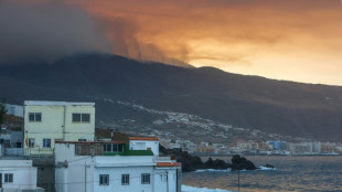 Un incendio sin control quema m&aacute;s de 3.000 hect&aacute;reas en la isla espa&ntilde;ola de Tenerife