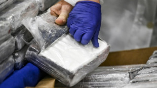 150 Kilogramm Kokain an Str&auml;nden von Nordseeinseln angesp&uuml;lt