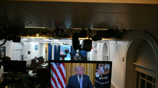 Trump ernennt Kommentatorin Katie Zacharia zu seiner neuen Sprecherin