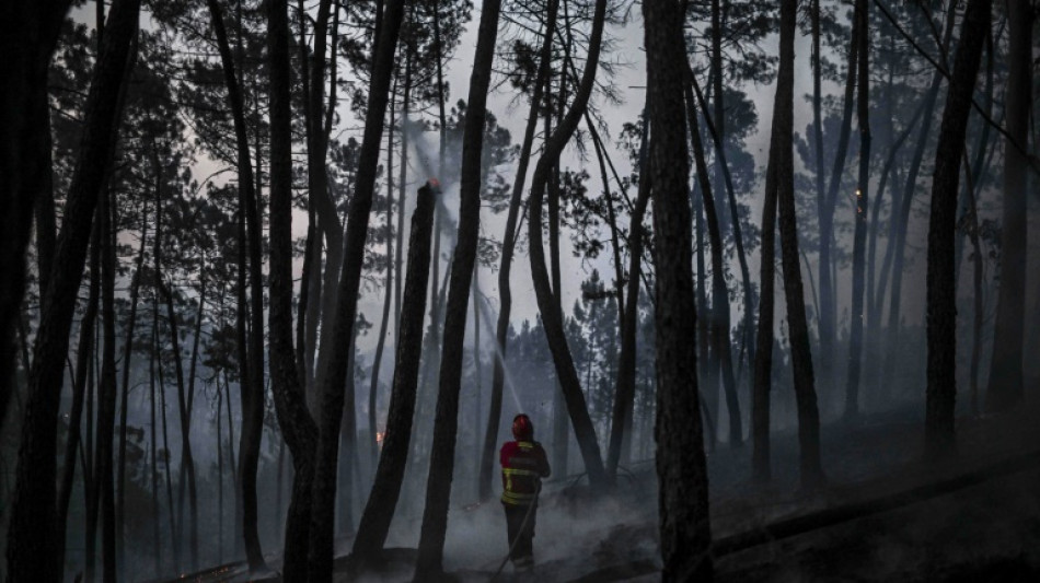 Portugal &auml;chzt unter Hitzewelle und k&auml;mpft gegen Waldbr&auml;nde