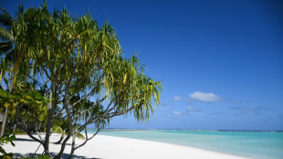 Ocho meses solo en una isla polinesia para repensar la conexión con la naturaleza