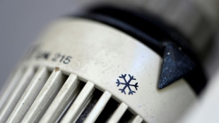 FDP-Finanzpolitiker: Koalitionseinigung bei W&auml;rmplanung ist "Falschmeldung"
