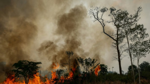El Ni&ntilde;o : l'essentiel de la semaine