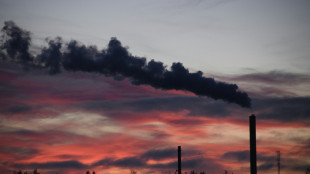 Verb&auml;nde dringen auf mehr Anstrengungen zur Senkung der Emissionen