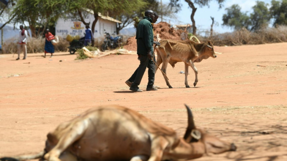 UE lista para ampliar objetivos clim&aacute;ticos y "abierta" a aumentar ayuda al Sur