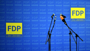 FDP will sich mit Künstlicher Intelligenz neu profilieren