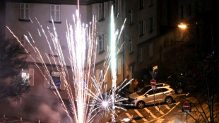 Initiative f&uuml;r B&ouml;llerverbot macht Druck auf Faeser