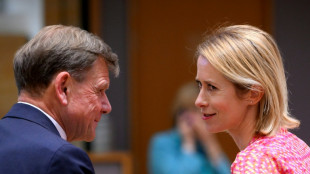 Europäische Unterstützer Kiews erhöhen nach Trump-Telefonat Druck auf Putin