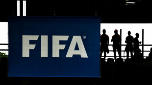 WM 2034: Menschenrechtsorganisationen warnen - Kritik an FIFA