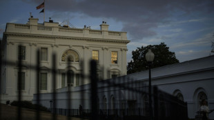 La Casa Blanca retira de su p&aacute;gina un juego tipo Tetris llamado "Construye el muro"