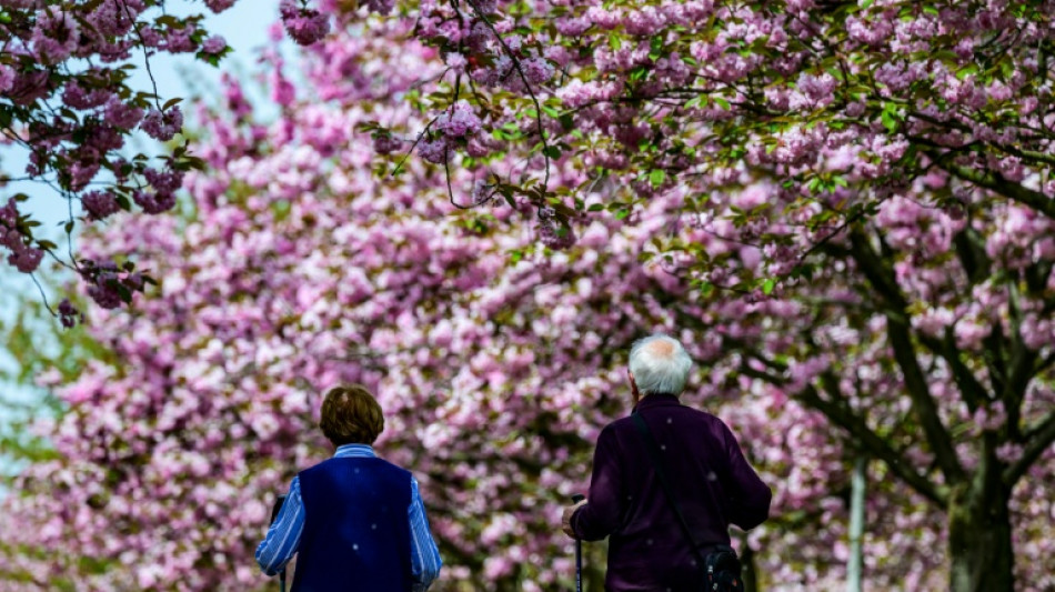 Union kritisiert neue Riester-Rente - kurz vor Entscheidung im Bundestag