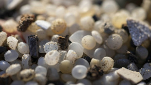 De l'usine à la plage, les tribulations d'un granulé de plastique qui fait pleurer les sirènes