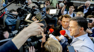 Dutch government collapses over migration row