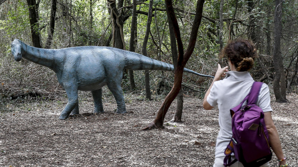 Scoperte migliaia di orme di dinosauri nel Parco dello Stelvio
