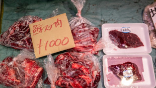 Japan erlaubt kommerzielle Jagd auf Finnwale