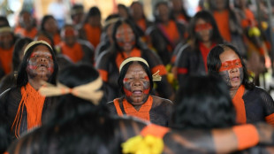 Indigenous leaders want same clout as world leaders at UN climate talks