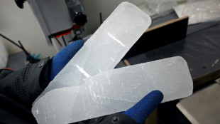 A Bruxelles, la chasse au trésor des glaces antarctiques