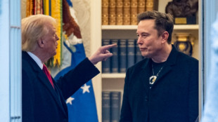 US-Haushaltsgesetz steckt im Senat fest und lässt Trump-Musk-Fehde neu aufflammen