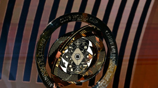 Klub-WM: Sieger erh&auml;lt 115 Millionen Euro