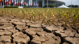 COP17 soil assessment links worsening land degradation to food and nutrition risks