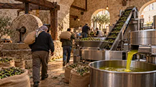 Historic Ramallah olive press joins modern production with local tradition