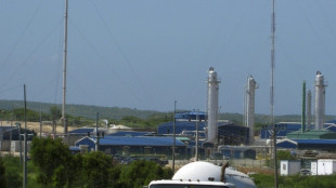 EEUU concede a la minera canadiense Sherritt permiso con miras a reactivar las operaciones en Cuba