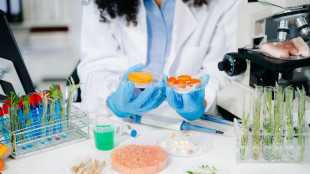 Latte e carne sintetica sotto la lente della Cattolica: rese basse e consumi elevati