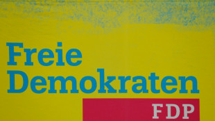 FDP-Fraktion erh&ouml;ht mit Plan zu "Migrationswende" Druck auf die Gr&uuml;nen 