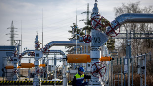 Il gas apre in calo a 33,5 euro sulla piazza Ttf di Amsterdam