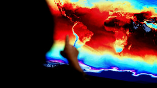 Without US satellites, 'we go dark', climate monitor tells AFP