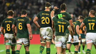Springboks&nbsp;back in contention after win - Erasmus