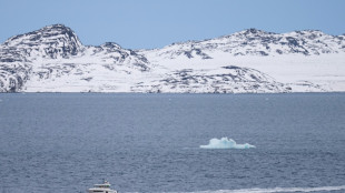 Cient&iacute;ficos crean un herramienta de IA para seguir el rastro de los icebergs