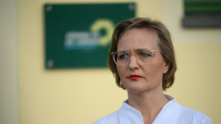 Grüne werfen Regierung falsche Prioritäten bei Verwenden der Haushaltsgelder vor