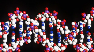 Franklin vide la doppia elica del Dna prima di Watson, la prova negli appunti