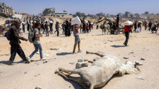 Food arrives in Gaza after Israel pauses some fighting