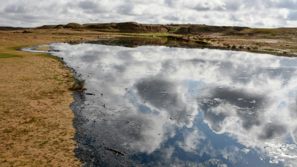 En Irak, de vastes terres agricoles contamin&eacute;es par des &eacute;coulements de p&eacute;trole
