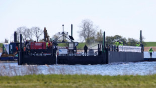 Buckelwal schwimmt in offener Nordsee - Offenbar am Sonntag weiter Lebenszeichen