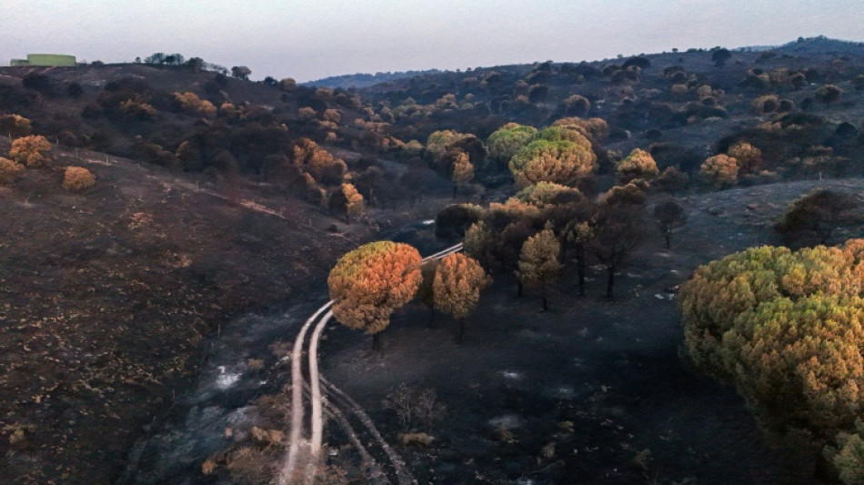 Espa&ntilde;a levanta emergencia por incendios cerca de Madrid