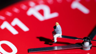 Biorhythmus an Haarprobe ablesen: Charit&eacute;-Forscher entwickeln neuen Test