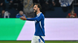 Zwei Spiele Sperre f&uuml;r Schalkes Karaman